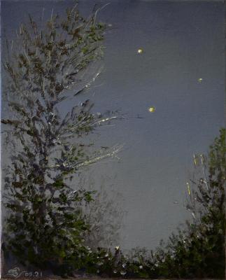 The reflection of distant stars. Stolyarov Vadim