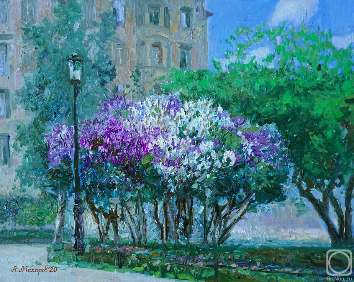 ������� ������ �� ������. ������� �����. ���� ������ �� �����������