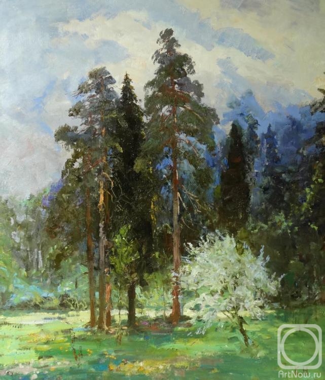 ������� ������ �� ������. ������� �������. �������� ������