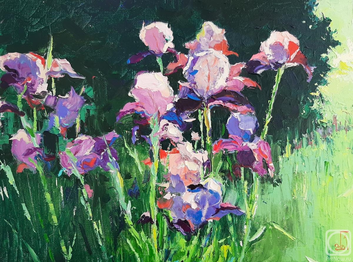 ������� ������ �� ������. ���������� �������. �����