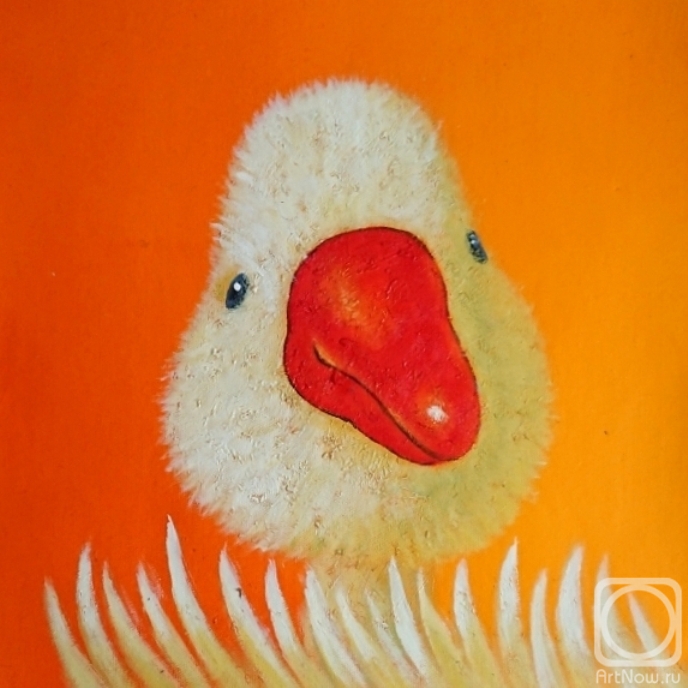 ������� ������ �� ������. ����� ����. ������