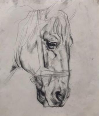 Horse (Desk Drawing). Davletshina Evgeniya