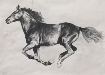 Horse (Desk Drawing). Davletshina Evgeniya