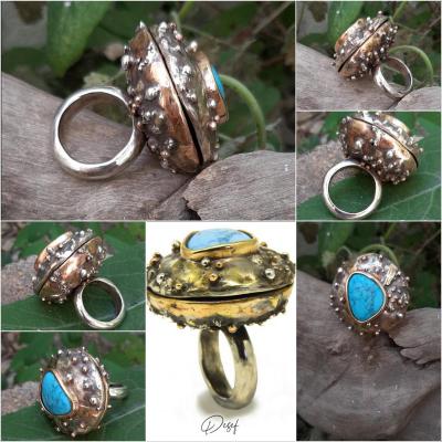 Ring "Oko". Dementiev Sergey