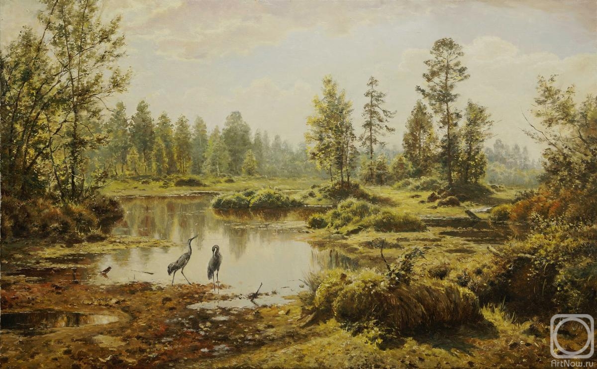 Aleksandrov Vladimir. Swamp. Marshy woodlands
