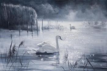 Swan lake. Zueva Marina