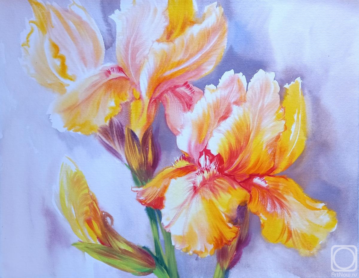 Mikhalskaya Katya. Summer of irises