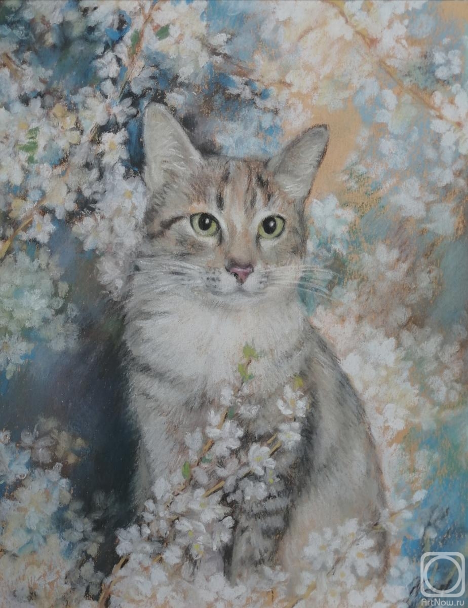 �������. ��������� �������. ������ � �������� �����