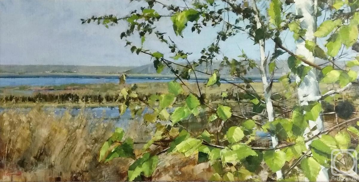 Silantyev Vadim. Birches. Volga far away