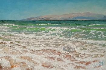 The Dead Sea. Agarkov Nikolay