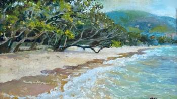 Beau Vallon, Mahe, Seychelles. Uvarov Boris