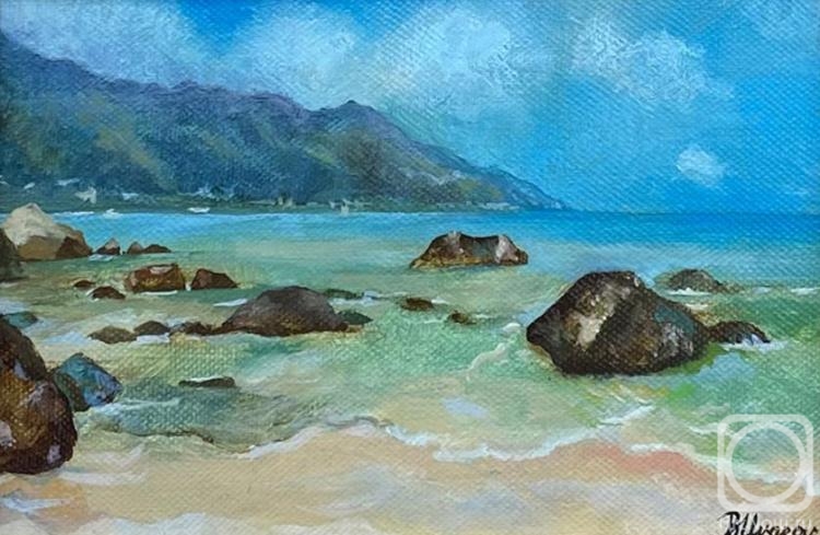 Uvarov Boris. Beau Vallon, Mahe, Seychelles, coastal stones