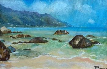 Beau Vallon, Mahe, Seychelles, coastal stones. Uvarov Boris