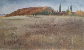 Field. Gugkaev Chermen