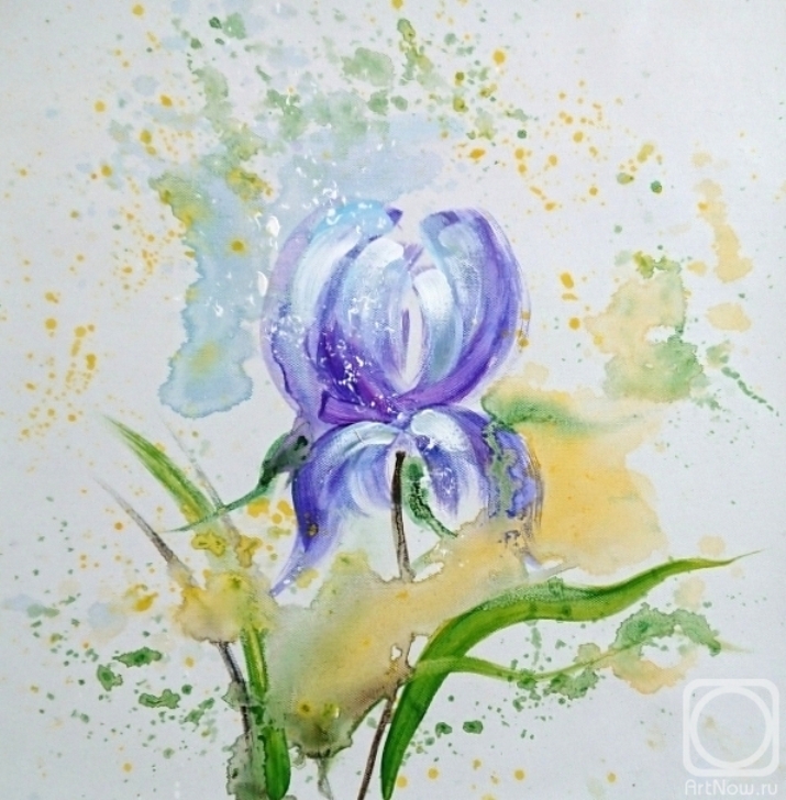 ������� ������ �� ������. ������ ����. ������ ����