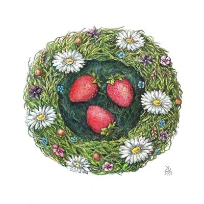 Summer (from the series "Nests"). Bystrushkina Ekaterina