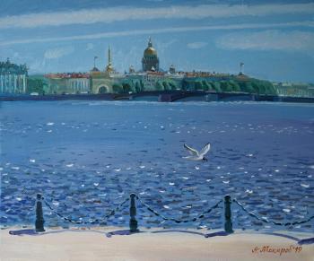 Neva river and the seagull