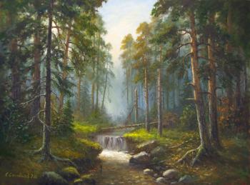 A stream in the forest. Solovyev Sergey