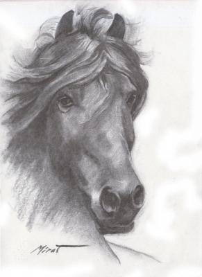 Horse 1. Urazayev Mirat