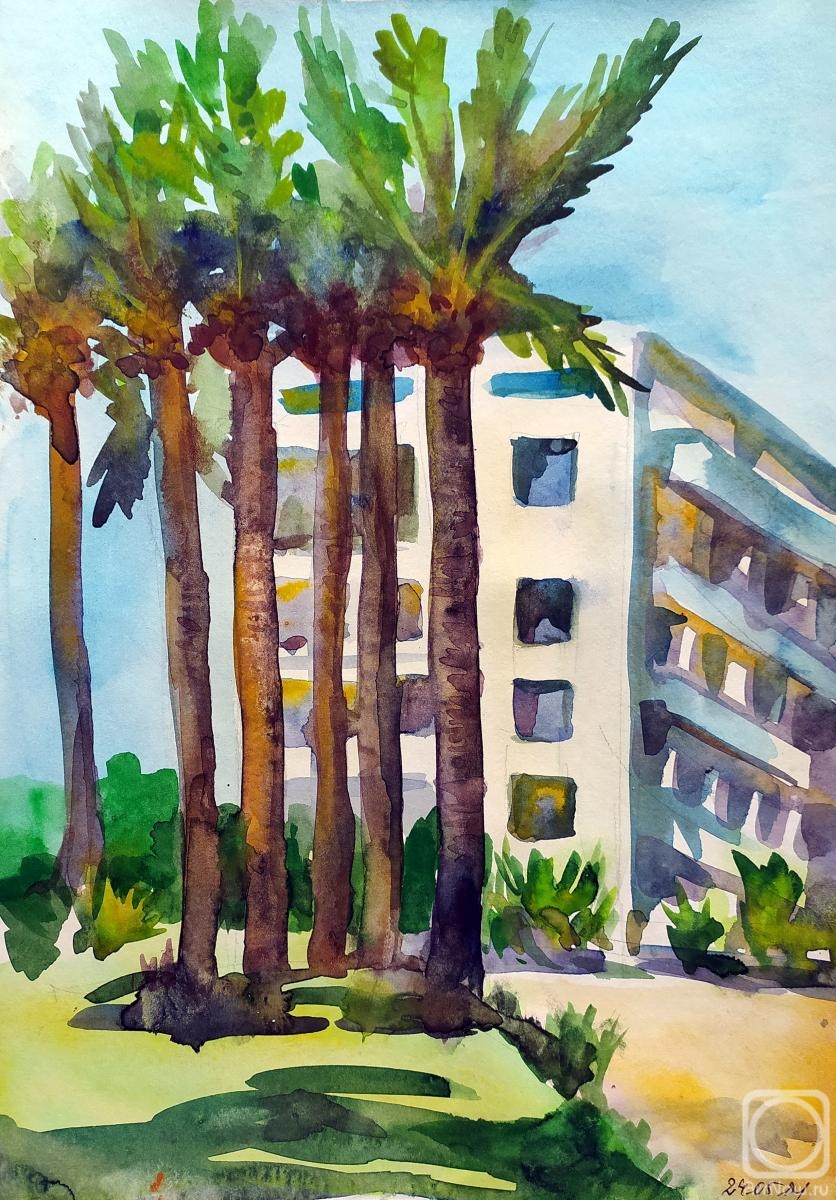Ripa Elena. Palm trees in Cyprus