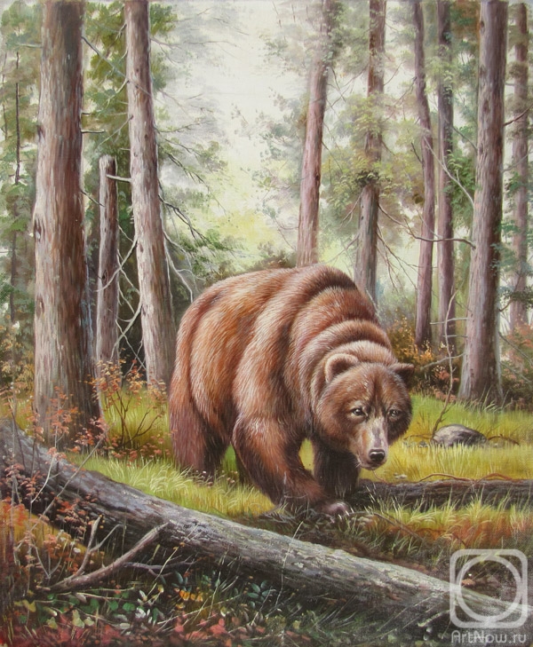 Kostyuk Igor. Bear on the hunt