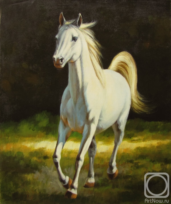 ������� ������ �� ������. ������ �����. ˸���� ���