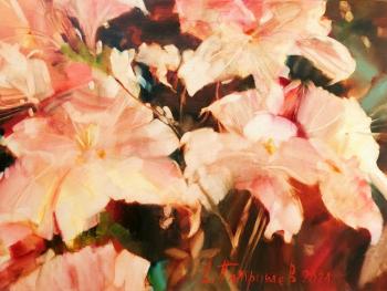 Sunny. �������� �������