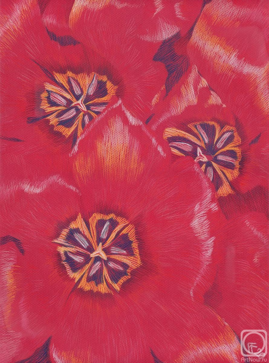 �������. ������� ����. ����