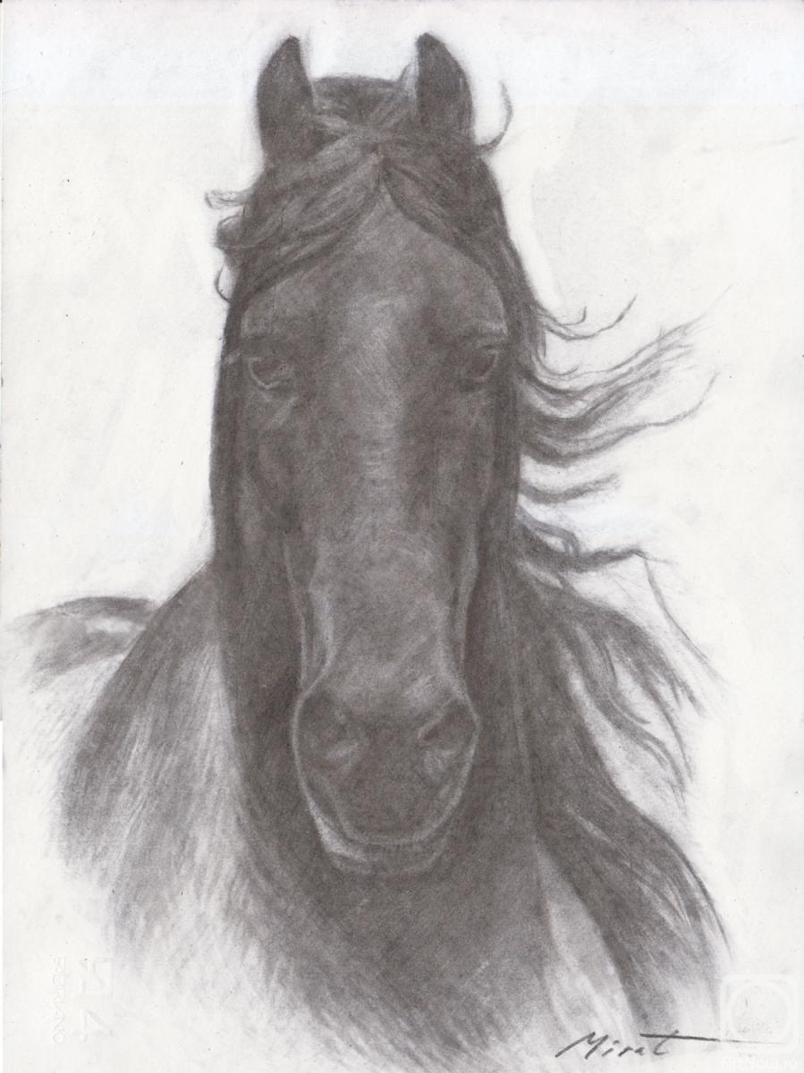 Urazayev Mirat. Horse 3