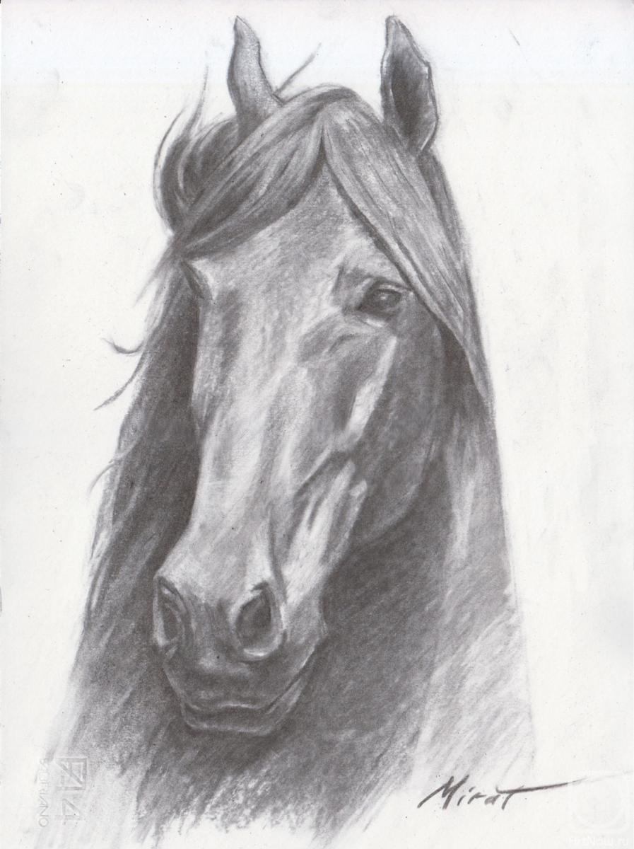 Urazayev Mirat. Horse 4