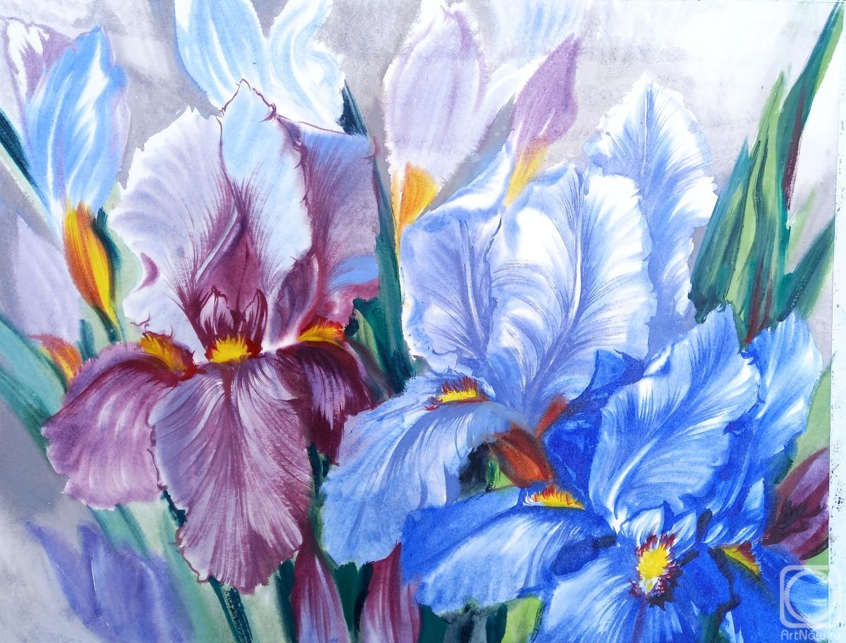Mikhalskaya Katya. Blooming irises