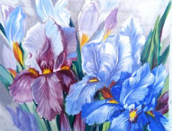 Blooming irises. Mikhalskaya Katya