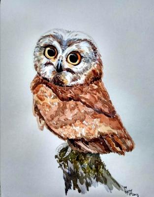 Owl (Watercolor Animal). Gorenkova Anna