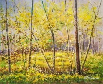 Spring in the forest (Natural Landscape Butter). Sharabarin Andrey