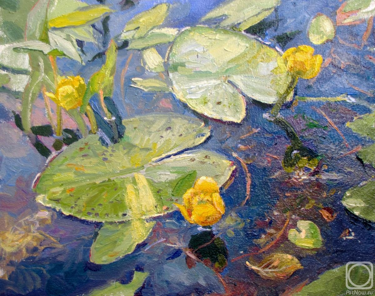 Rodionov Igor. Water lilies (pods)