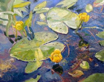 Water lilies (pods). Rodionov Igor