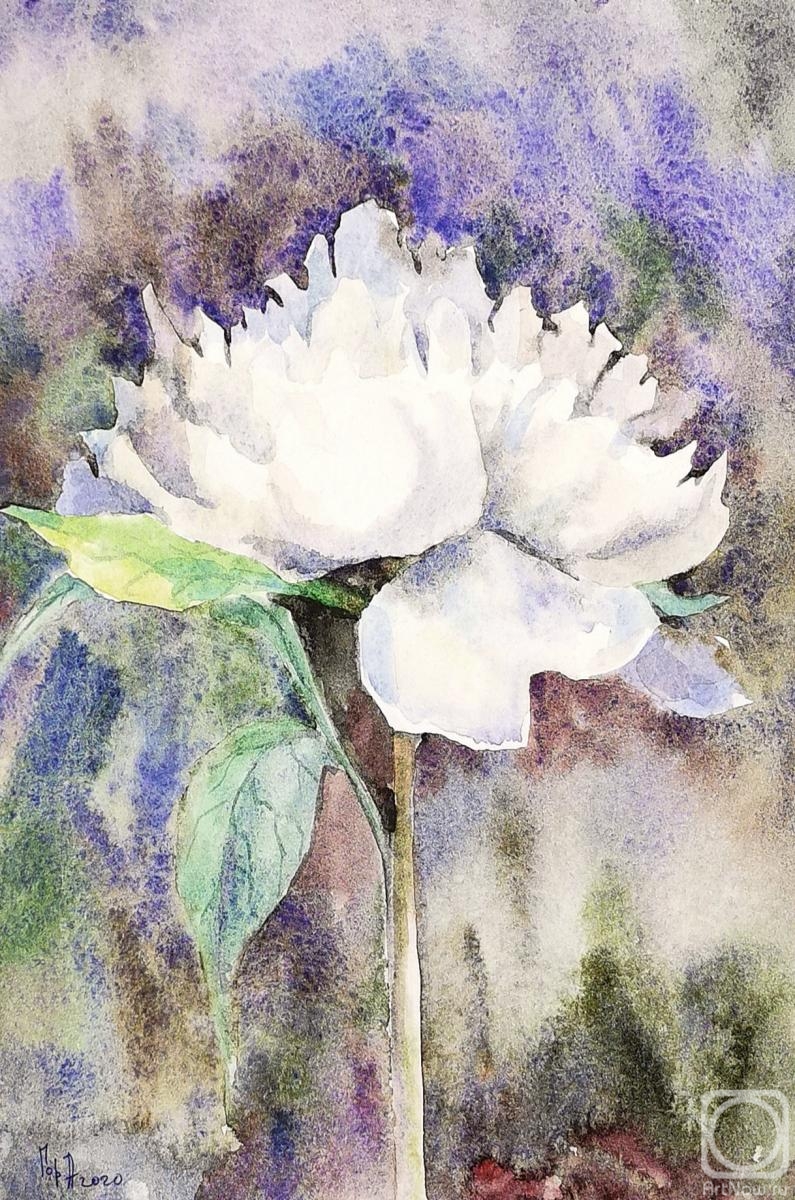 �������. ��������� ����. ����� ����