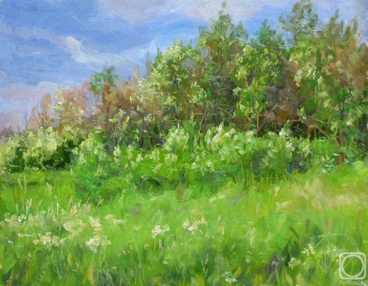 ������� ������ �� ������. ������� ��������. ����� ������. ������ ������