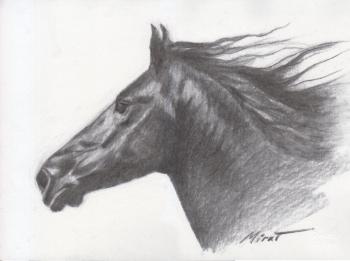 Horse 5. Urazayev Mirat
