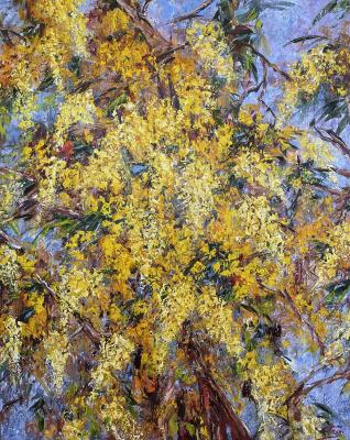 March. Mimosa (Mimosa Tree). Malivani Diana