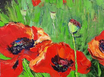 ������� ���� ���������