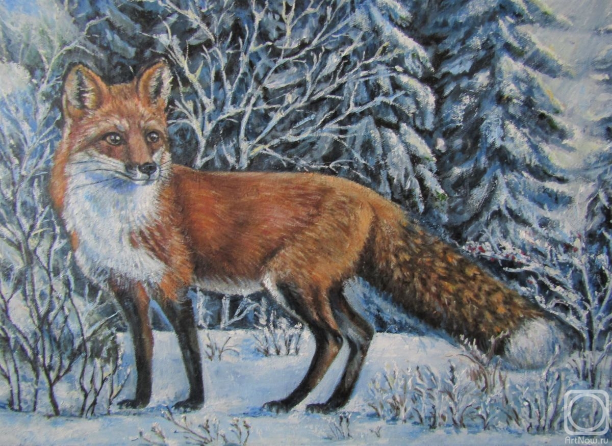 Schedrinova Tatyana. Fox in the winter forest
