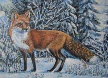 Fox in the winter forest