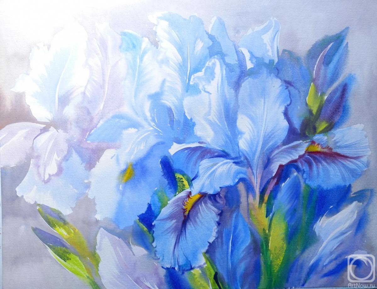 Mikhalskaya Katya. Delicate irises