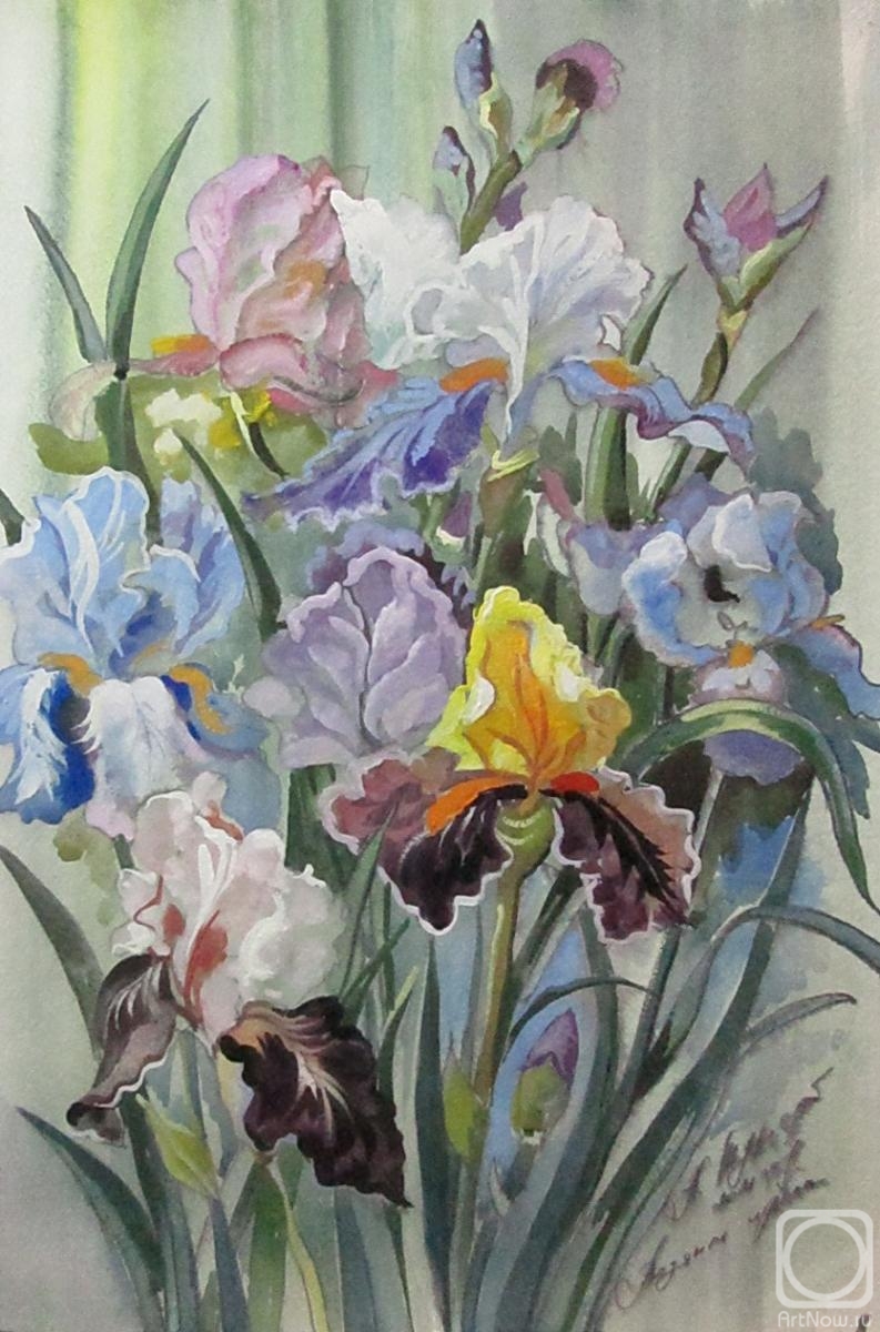 Schubert Albina. Water irises