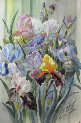 Water irises. Schubert Albina