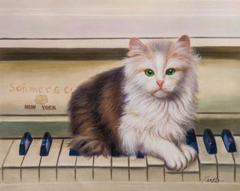 Kamskij Savelij Olegovich. Kitten-pianist