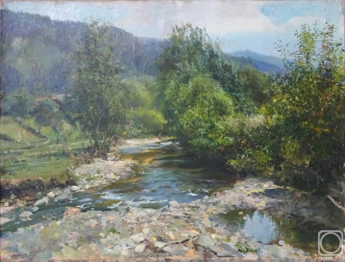 Nayda Dmitriy. Mountain river . Carpatians