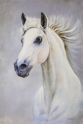 Portrait of a white horse N2. Kamskij Savelij