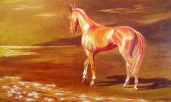 Golden Horse. Seryy Aleksey